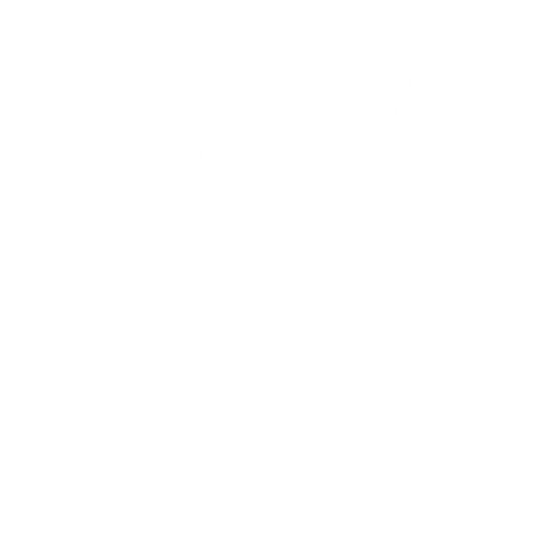 ZETA DIVISION