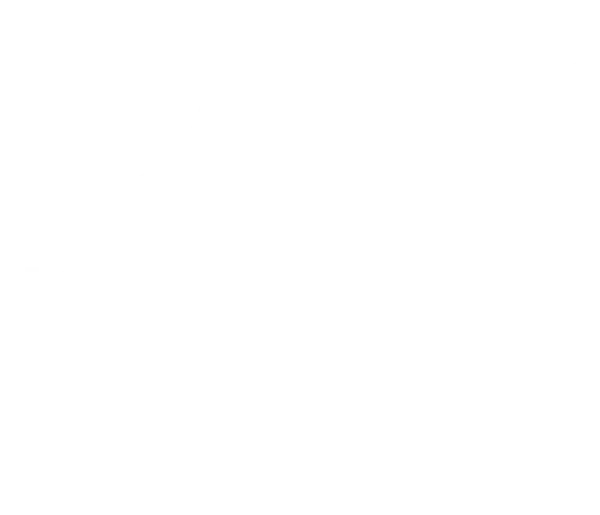 The Dojo