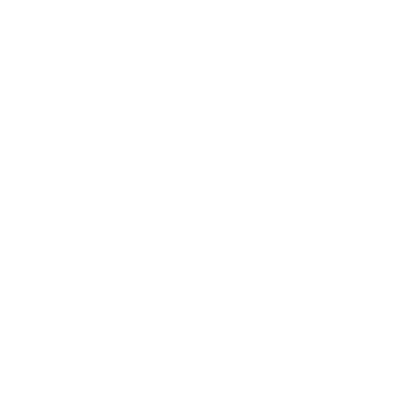 TSM